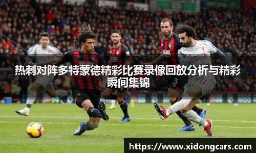 bsports官网入口