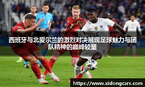 bsports官网入口
