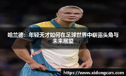 B体育bsports